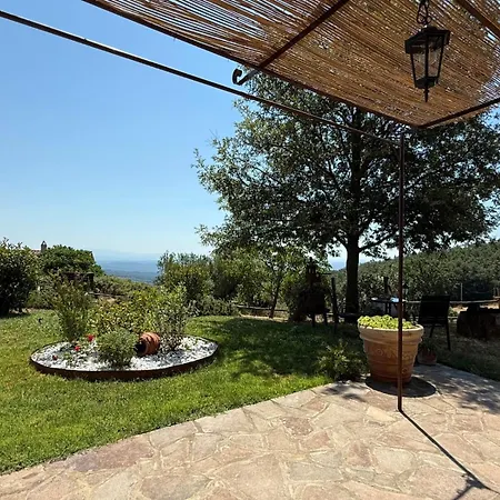 Domus Olea *