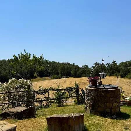 Domus Olea * Roccatederighi