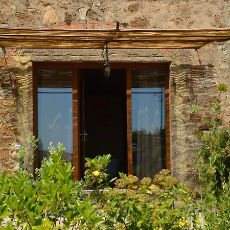 Apartmán Domus Olea
