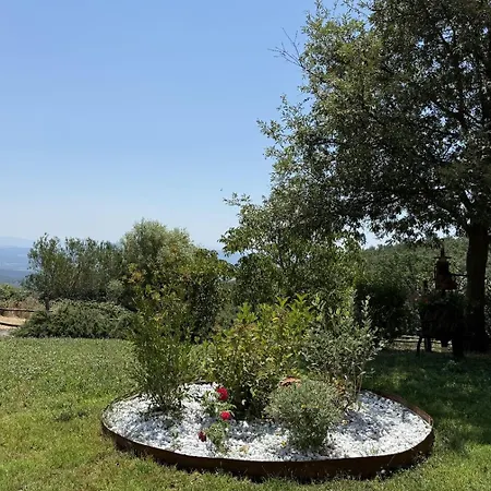 Appartamento Domus Olea Roccatederighi